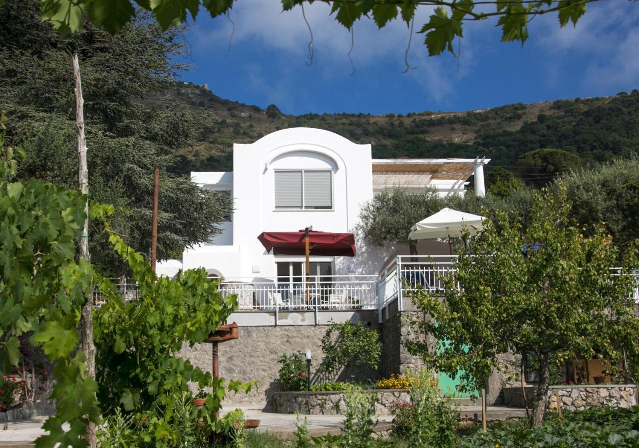 Villa Romano, Anacapri 外观 照片