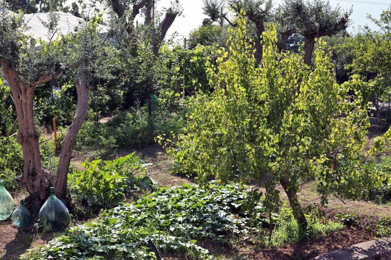 Villa Romano, Anacapri 外观 照片