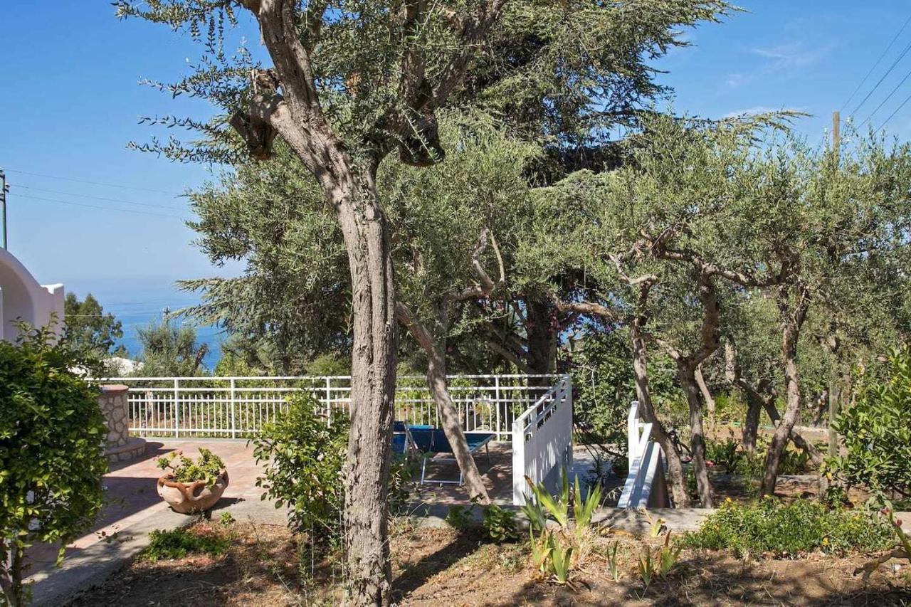 Villa Romano, Anacapri 外观 照片